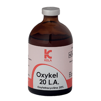 ویال ۵۰ سی‌سی اکسی کل ۲۰ L.A (Oxykel 20% Long Acting) ساخت بلژیک شرکت KELA
